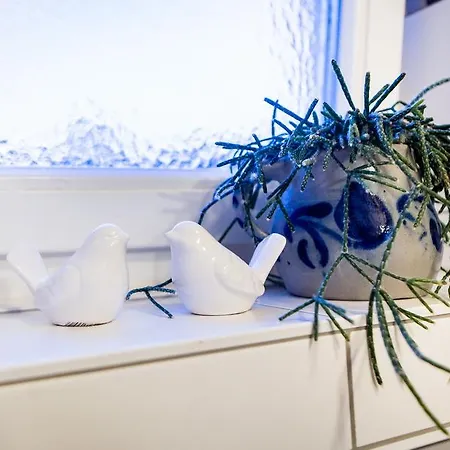 An Der Rauschen - Apartments, Ferienzimmer & Kunst Penzion